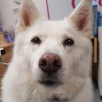 ruby kaye nottingham