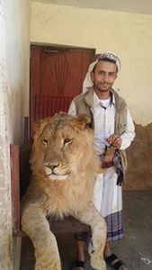 أبہٰو صہٰالہٰح