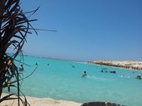 Rania ELhety