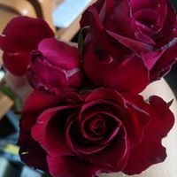 จุลลดา ทาศรีสุข