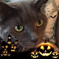 Kathryn E. Scanzillo