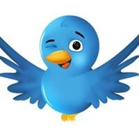 الفتى الطائر