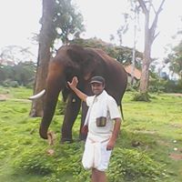 Raghu Kumar