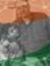 Sandeep...