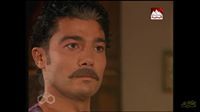 داود  باشا  المصري