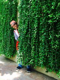 Nagarupa Yerramsetti