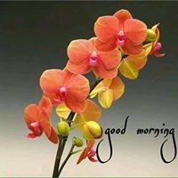 Prakash Tandan