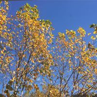 Sumathi Senthilkumar