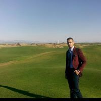 Abdulrhman N. Alfheem