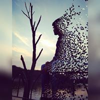 Sumit Singh