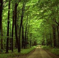 شهاب بن عائشة