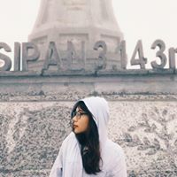 Chi Linh