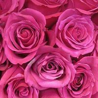 زهراء ستواق