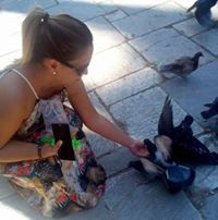 Незабравка Новаков