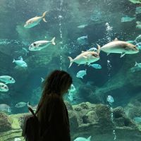 Katerina Hatzitheohari