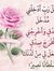 Basma S...