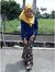 Xiera I...
