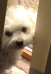 J & R Construction Serv