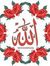 Qasim D...