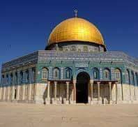 ياسر عبدالحميد كونت