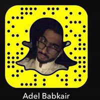 عادل بابكير