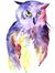 Falcon ...