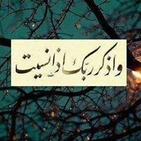 Hesham Metwaly