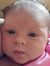 Elysia ...