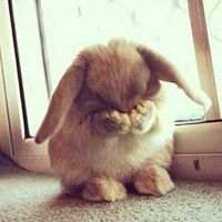 Feitzchen Legaspi