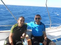 Amr Suhail