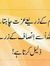 Sadaf T...