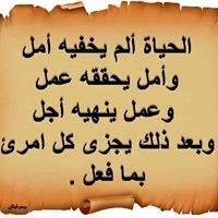 Mohamed Shahin