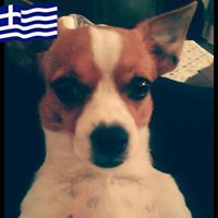 Αχιλλεασ βρεντζοσ