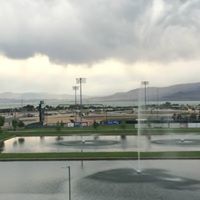 حازم الشريف