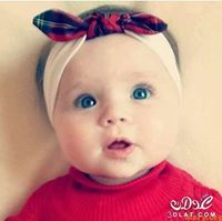 Dedye Sayed