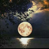 Rabab Adham