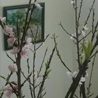 Bảo Vĩnh