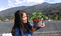 Wiwi Handayani