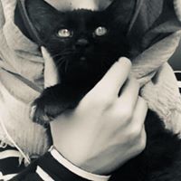 Reem ß