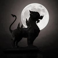 Kunchatree Kongkiatkong