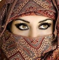 Ansi Alavi