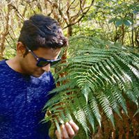 Selva Subramanian
