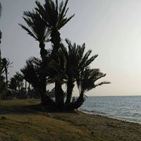 موسى الحربي