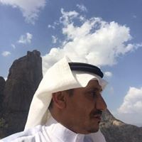 محمد العامري