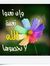 Bassem ...