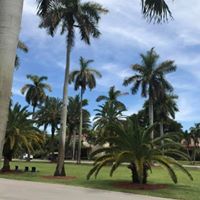 عبدالرحيم الرياني