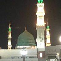 شادي الصالح