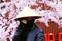 Hải Minh