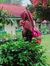Salamah...