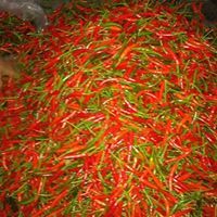 วันมีชัย การเกษตร